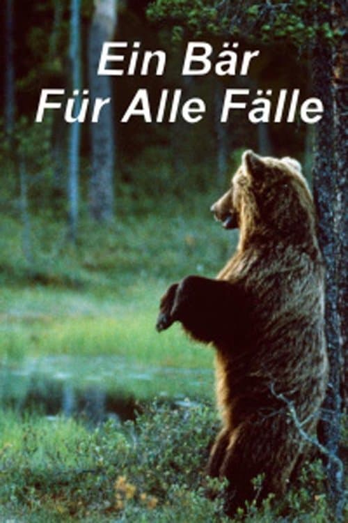 Ein Bär für alle Fälleのポスター