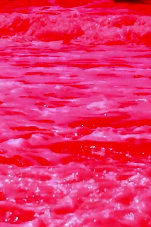 -Pursuit.Bracmano.: Fate Entrare le Formiche!のポスター