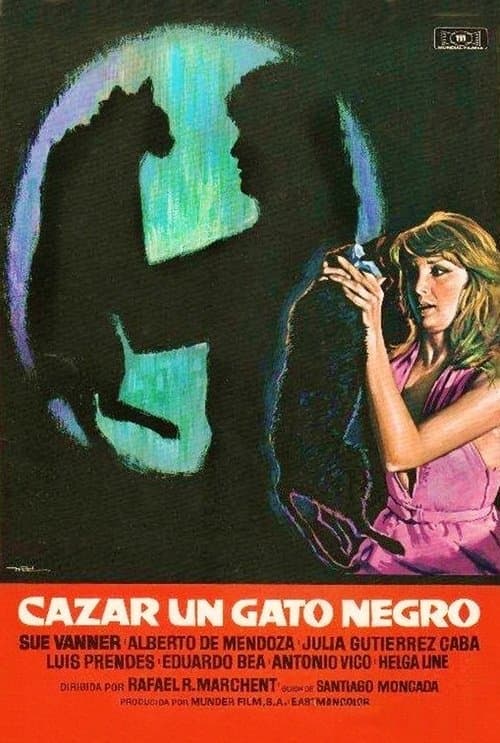 Cazar un gato negroのポスター