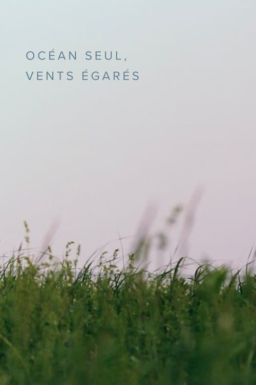 Océan seul, vents égarésのポスター