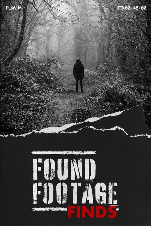 Found Footage Findsのポスター
