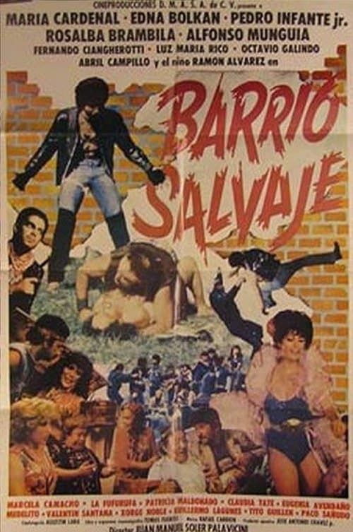 Barrio Salvajeのポスター