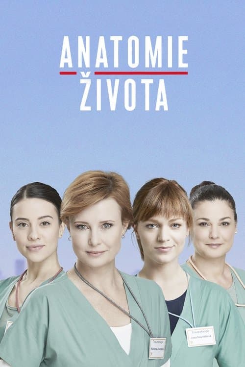 Anatomie životaのポスター