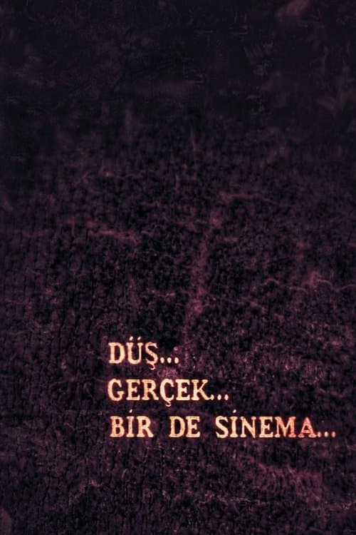 Düş, Gerçek, Bir de Sinemaのポスター
