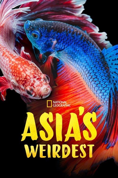 Asia's Weirdestのポスター