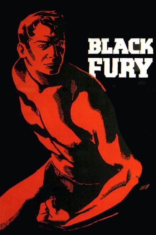 Black Furyのポスター