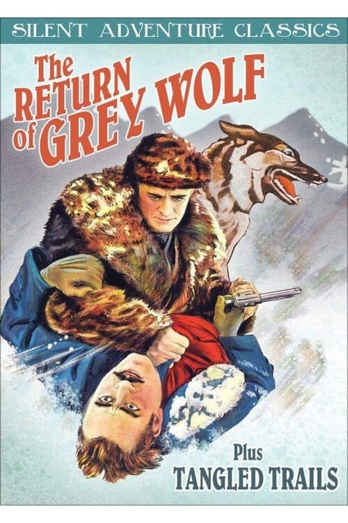 The Return of Grey Wolfのポスター