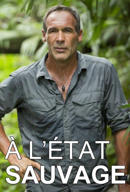 À l'état sauvageのポスター