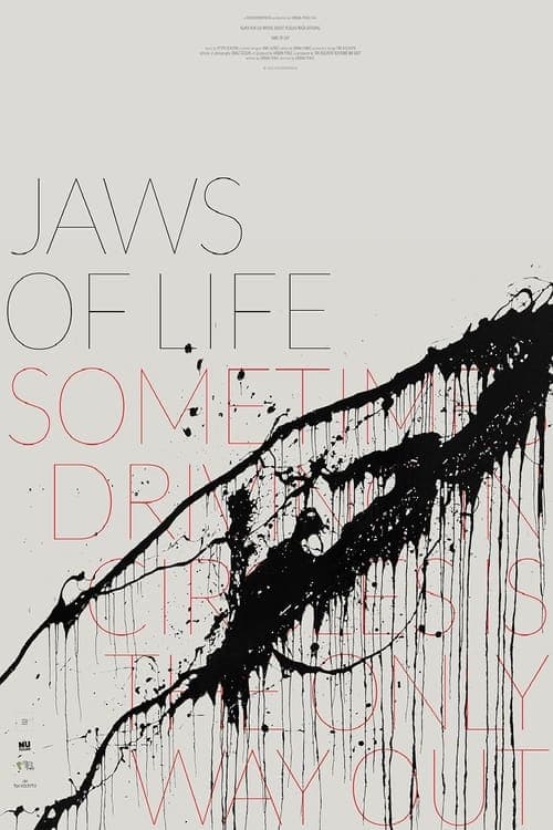 (Ob)voznicaのポスター