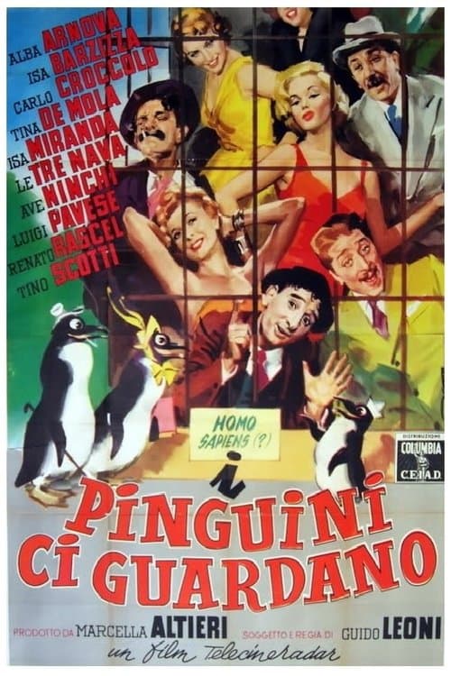 I pinguini ci guardanoのポスター