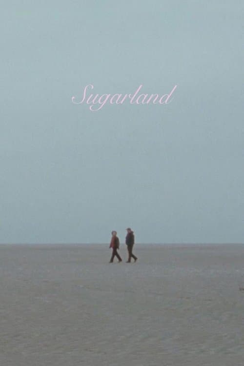 Sugarlandのポスター