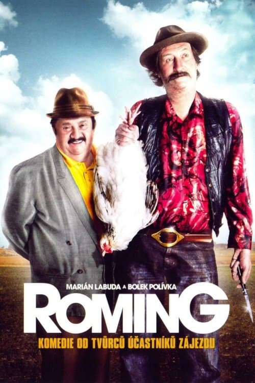 ROMingのポスター