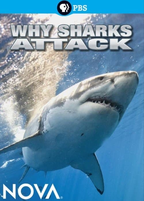 Why Sharks Attackのポスター