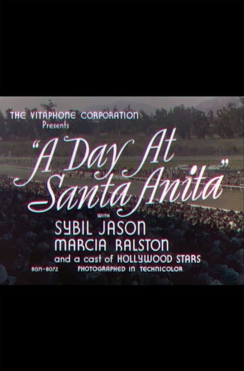 A Day at Santa Anitaのポスター