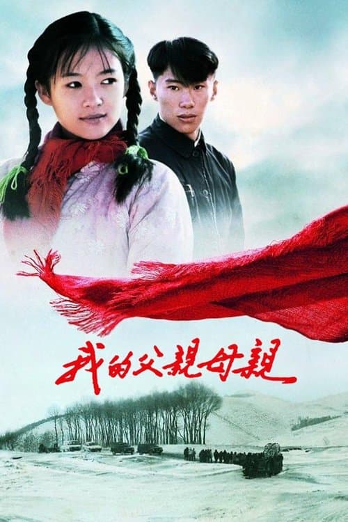 初恋のきた道のポスター