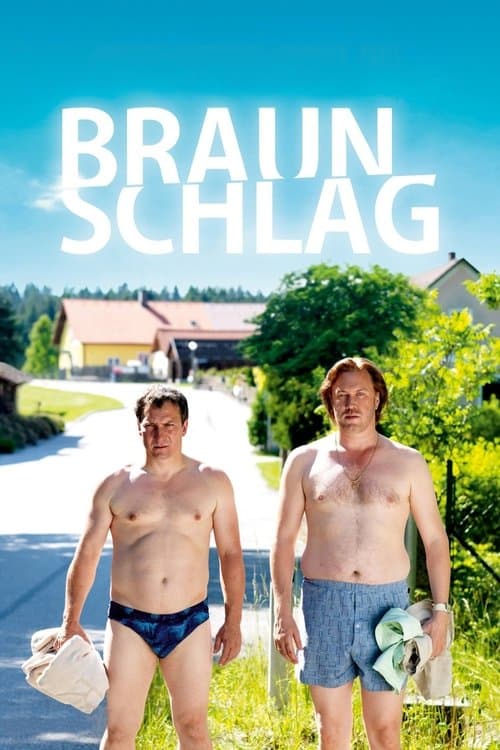 Braunschlagのポスター