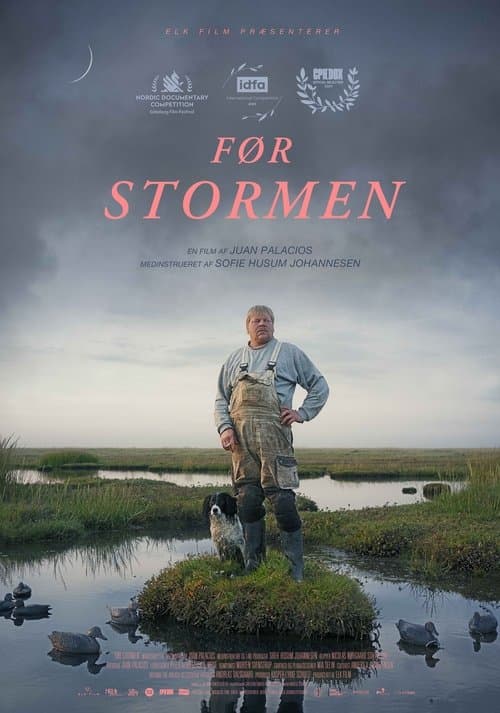 Før stormenのポスター