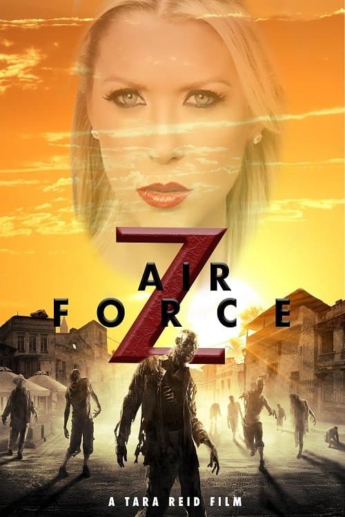 Air Force Zのポスター