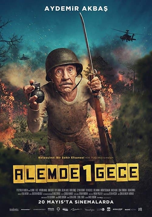 Alemde Bir Geceのポスター