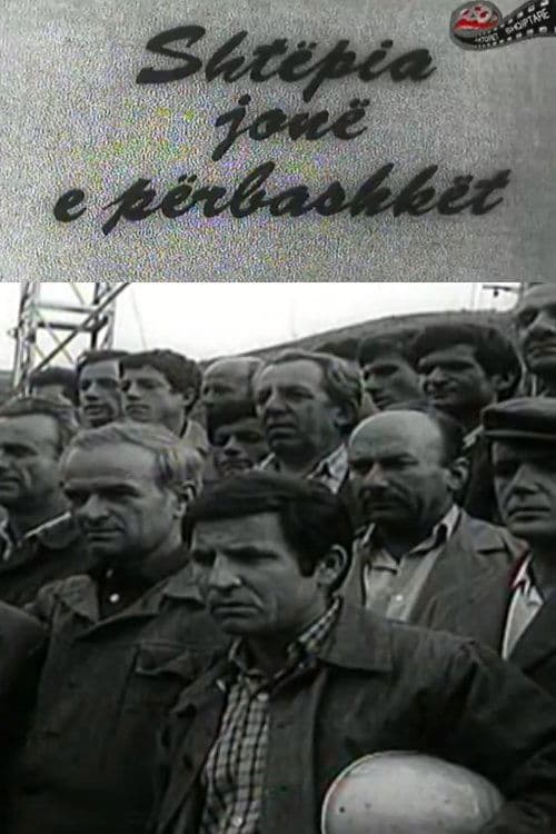 Shtëpia jonë e përbashkëtのポスター