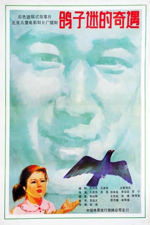 鸽子迷的奇遇のポスター