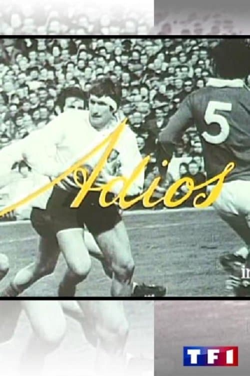 Adiosのポスター