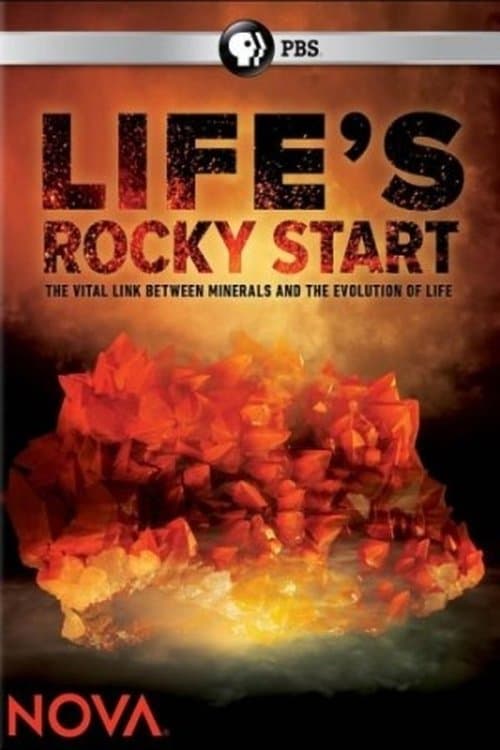 NOVA: Life's Rocky Startのポスター