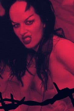 P.L.O.W.: Punk Ladies Of Wrestlingのポスター