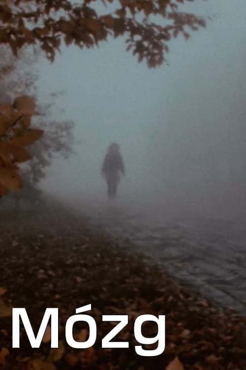 Mózgのポスター