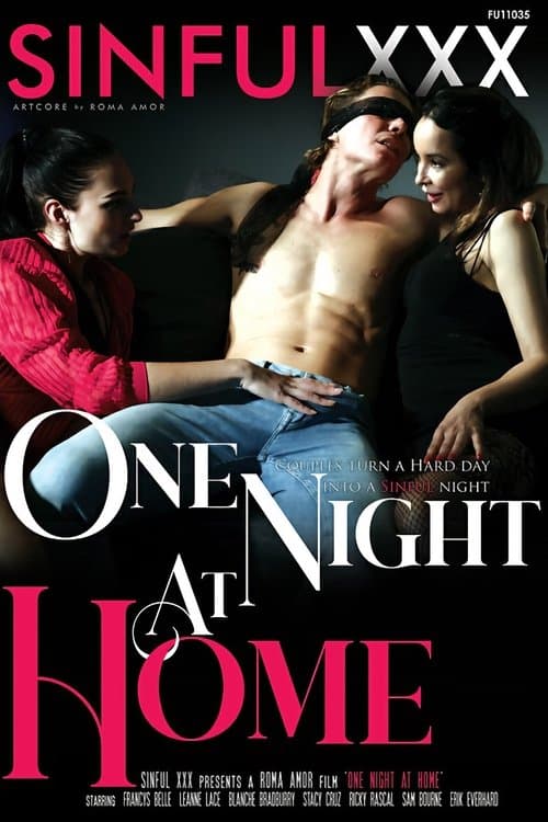 One Night At Homeのポスター