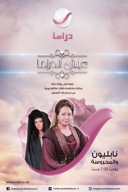 نابليون و المحروسةのポスター
