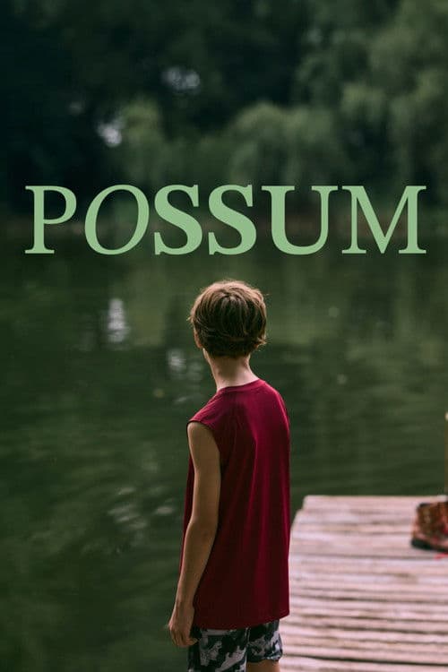 Possumのポスター