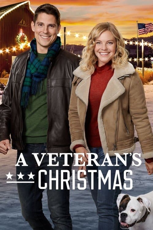 A Veteran's Christmasのポスター