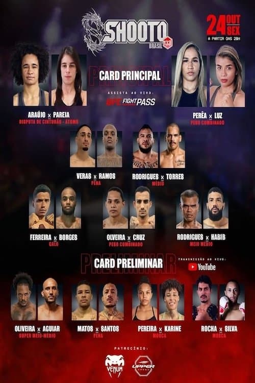 Shooto Brasil 133のポスター