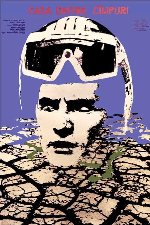 Casa dintre cîmpuriのポスター