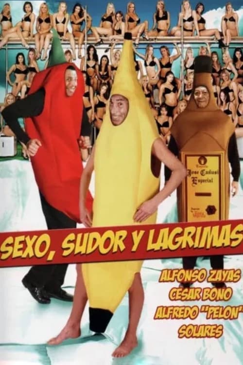 Sexo, sudor y lágrimasのポスター