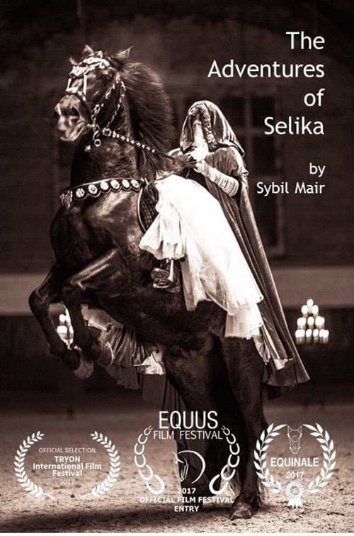 The Adventures of Selikaのポスター