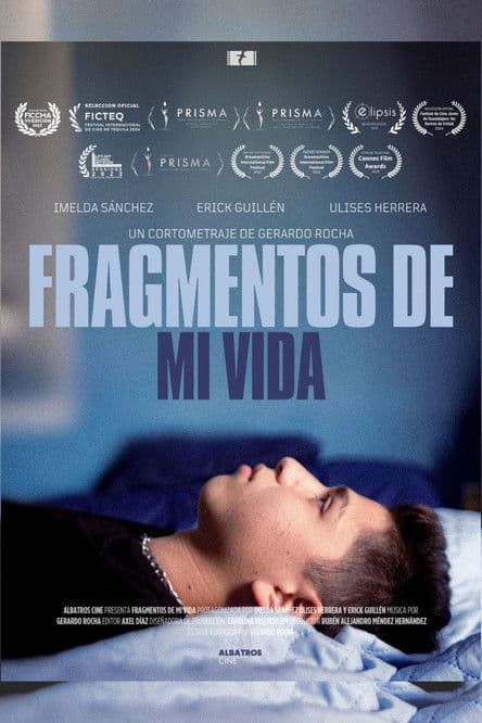 Fragmentos de mi Vidaのポスター