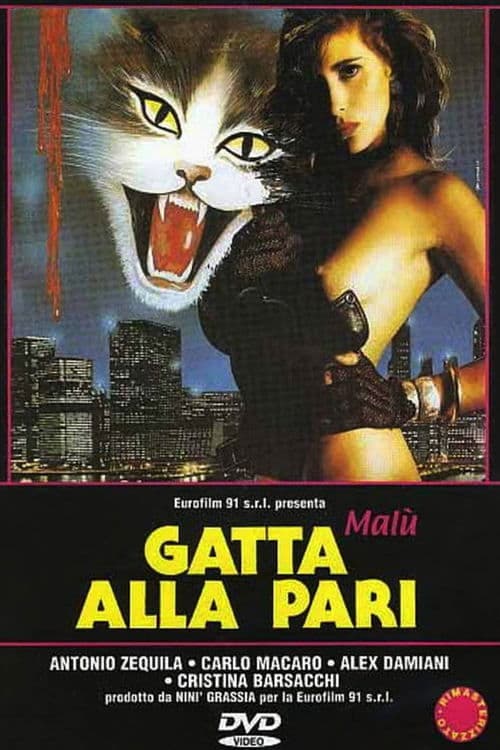 Gatta alla pariのポスター