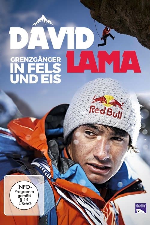 David Lama - Das Unmögliche Möglich Machenのポスター
