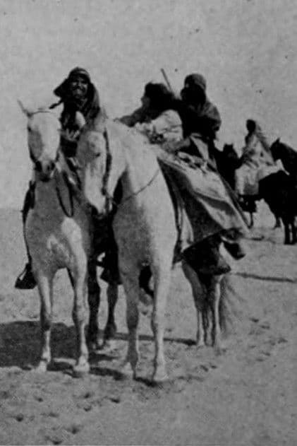 The Poetic Justice of Omar Khanのポスター