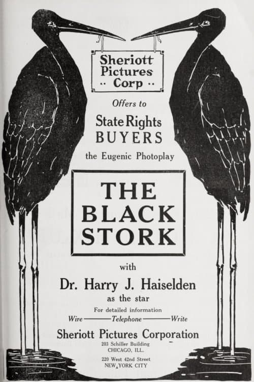 The Black Storkのポスター