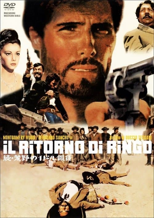 続・荒野の1ドル銀貨のポスター