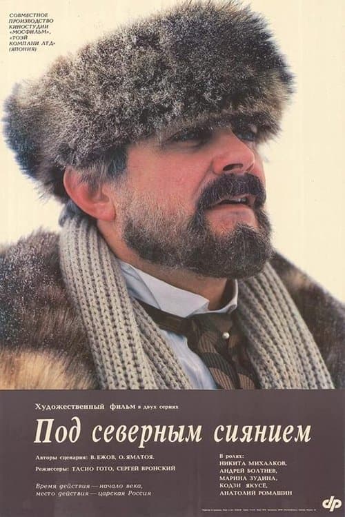 Под северным сияниемのポスター