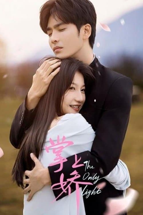 掌上娇のポスター