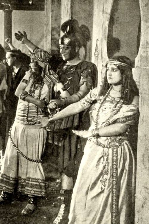 The Illuminationのポスター