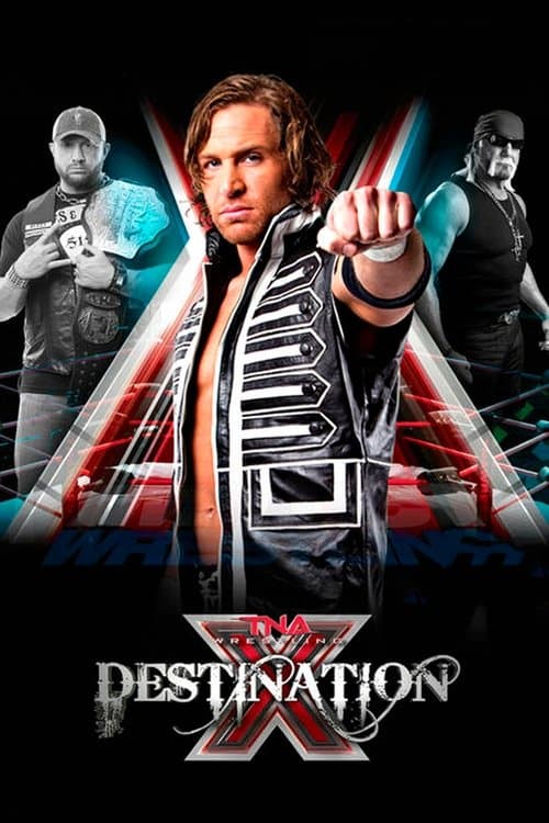 TNA Destination X 2013のポスター