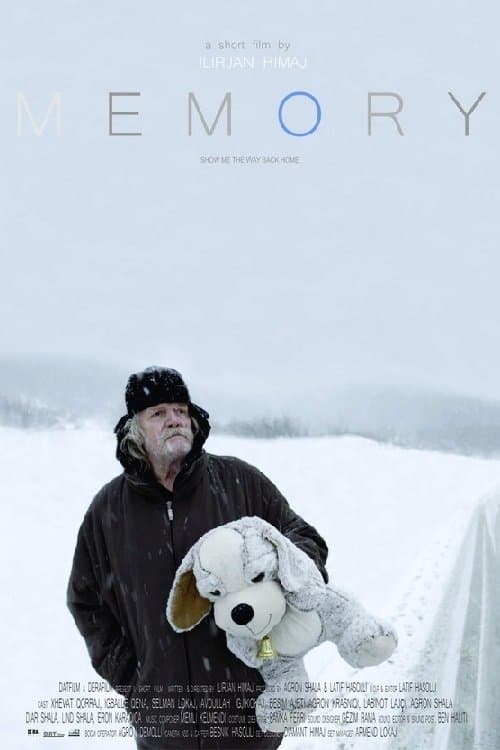 Memoryのポスター