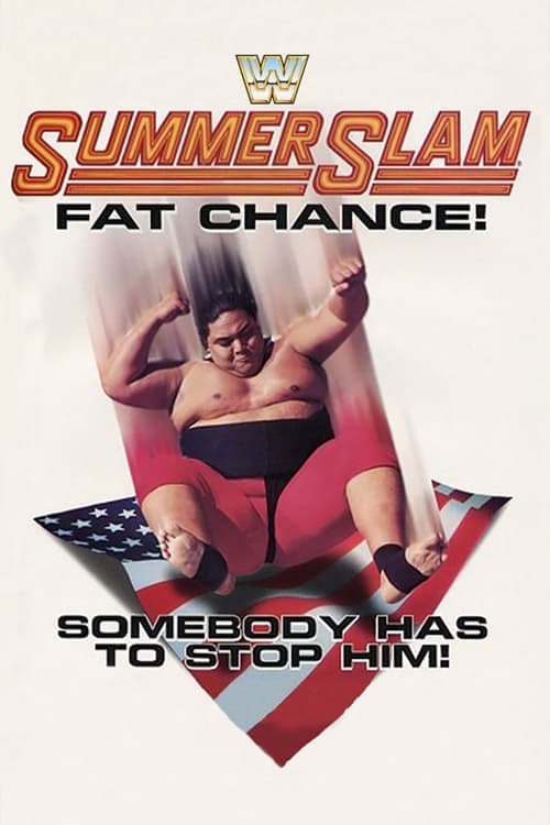 WWE SummerSlam 1993のポスター