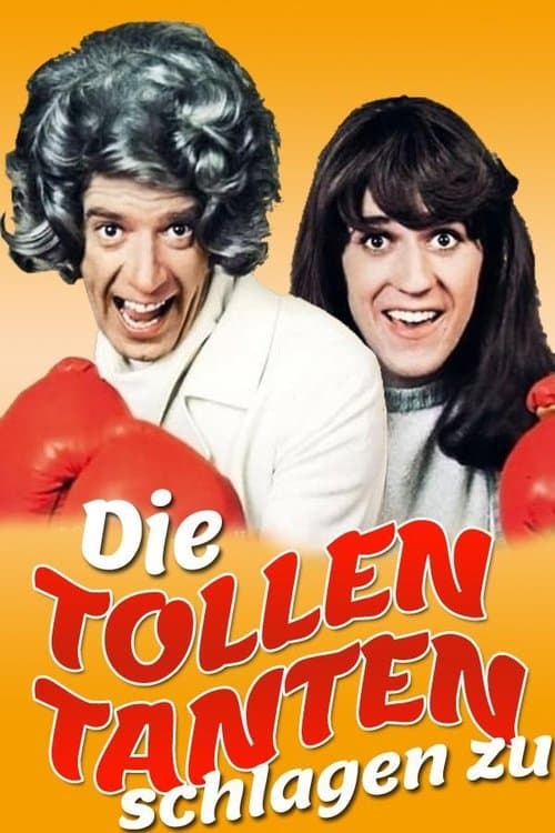 Die tollen Tanten schlagen zuのポスター